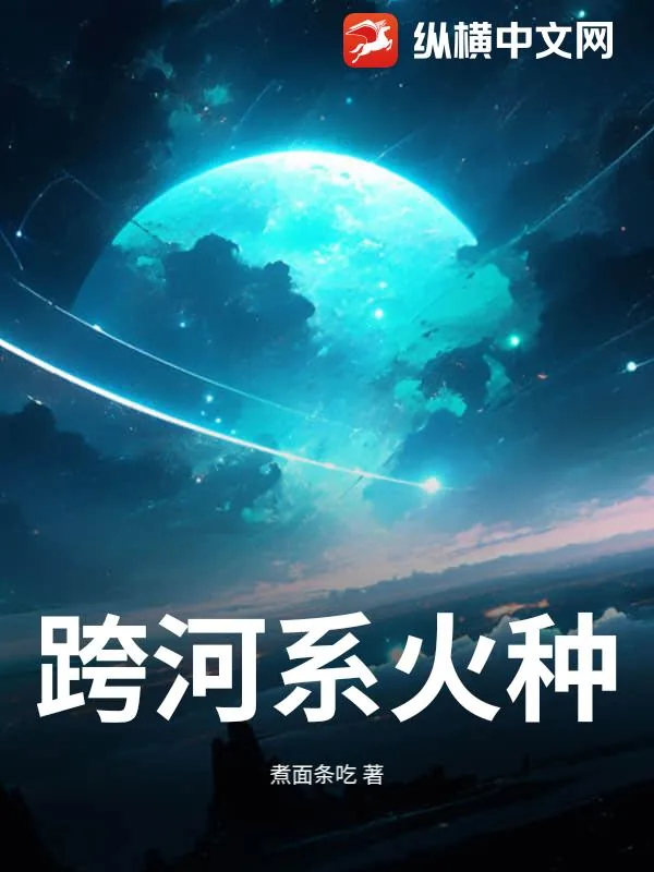 《跨河系火种》小说封面