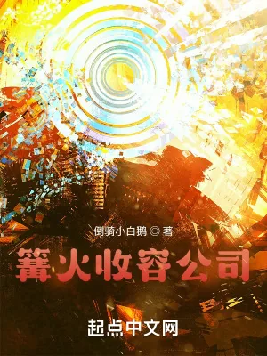 《篝火收容公司》小说封面