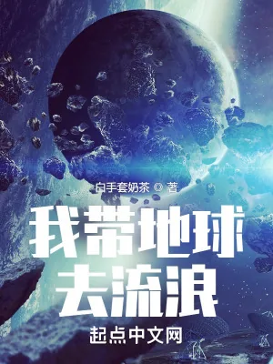《我带地球去流浪》小说封面