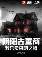 《阴阳古董商：我只卖极阴之物》小说封面