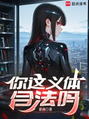 《你这义体合法吗》小说封面