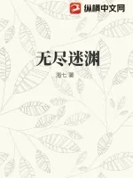 《无尽迷渊》小说封面