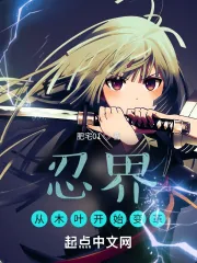 《忍界：从木叶开始变革》小说封面