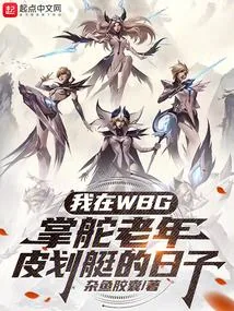 《我在WBG掌舵老年皮划艇的日子》小说封面