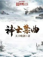 《神亡禁曲》小说封面