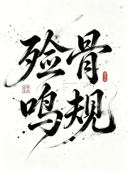《殓骨鸣规》小说封面