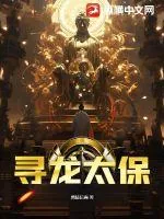 《寻龙太保》小说封面