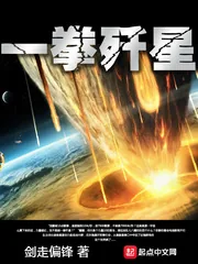 《一拳歼星》小说封面