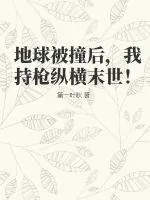 《地球被撞后,我持枪纵横末世!》小说封面