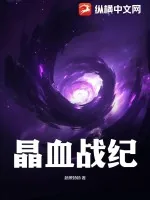 《晶血战纪》小说封面