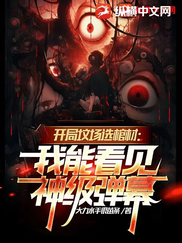 《开局坟场选棺材：我能看见神级弹幕》小说封面