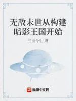 《无敌末世从构建暗影王国开始》小说封面