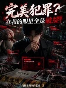《完美犯罪?在我的眼里全是破绽!》小说封面