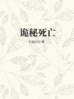 《诡秘死亡》小说封面