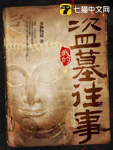 《我的盗墓往事》小说封面