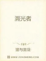 《溯光者》小说封面