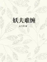 《妖夫难缠》小说封面