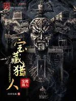 《宝藏猎人》小说封面