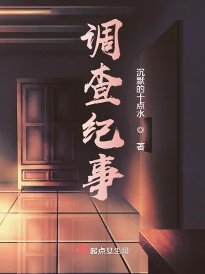 《调查纪事》小说封面