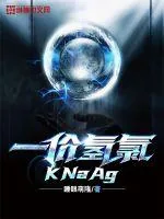 《一价氢氯钾钠银》小说封面