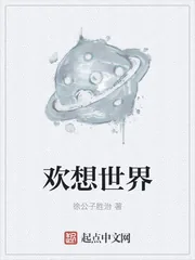 《欢想世界》小说封面