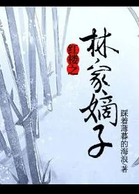 《红楼之林家嫡子》小说封面