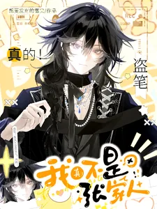 《盗笔:我真不是张家人,真的!》小说封面