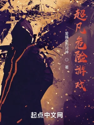 《超凡危险游戏》小说封面