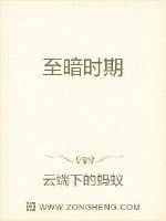 《至暗时期》小说封面