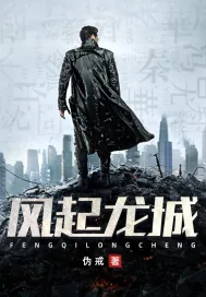 《风起龙城》小说封面