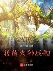 《我的火种战舰》小说封面