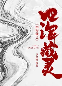 《四海藏灵》小说封面