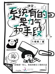 《快穿:系统有的是力气和手段》小说封面