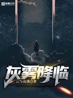 《灰雾降临》小说封面