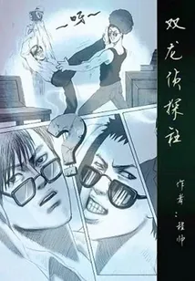 《双龙侦探社》小说封面