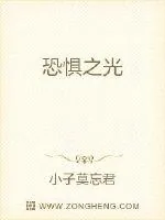 《恐惧之光》小说封面