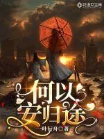 《何以安归途》小说封面