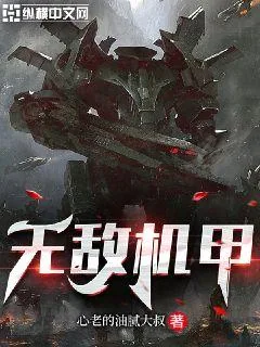 《无敌机甲》小说封面