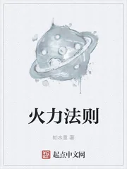 《火力法则》小说封面