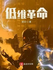 《低维革命》小说封面