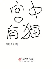《宫中有猫》小说封面