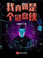 《我真就是个键盘侠》小说封面