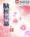 《脑核风暴》封面