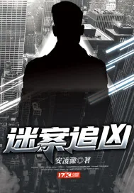 《迷案追凶》封面