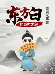 《东方白的身世之谜》封面