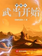 《穿越从武当开始》封面