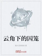 《云角下的囚笼》封面