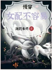 《慢穿女配不容易》封面