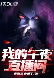 《我的午夜直播间》小说封面