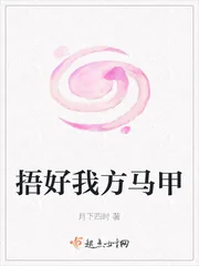《捂好我方马甲》封面